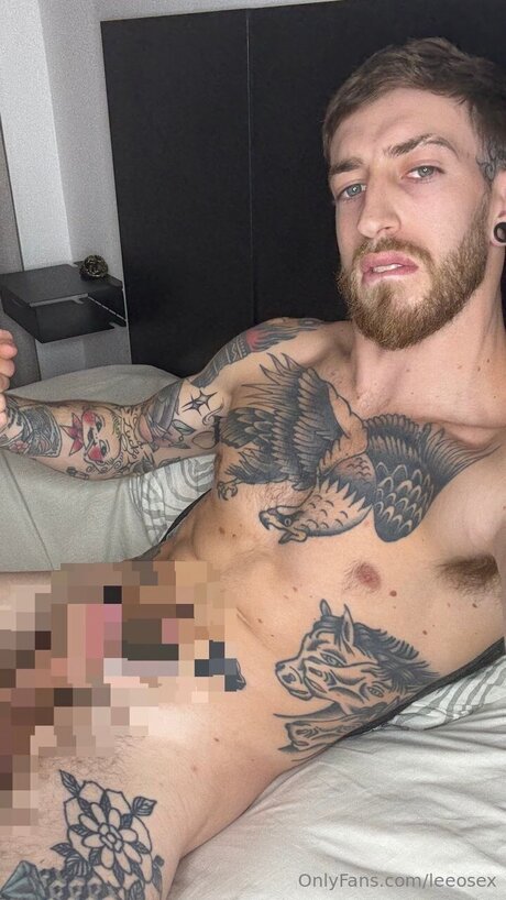 Leeosex pornstar nude image